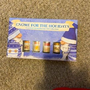 GNOME FOR THE HOLIDAYS Humidifier(FREE SHIPPING)